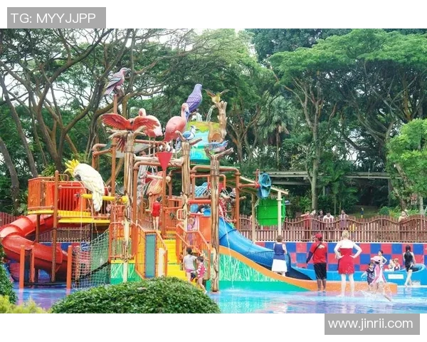 东南亚锦标赛精彩对决新加坡与印度尼西亚的足球盛宴